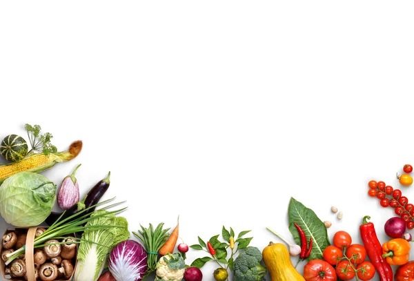 آموزش کامل استفاده از اپلیکیشن پاپاچی